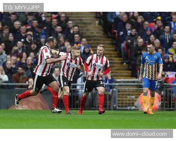 哈德斯与林肯城对决前瞻分析及赛果预测详解